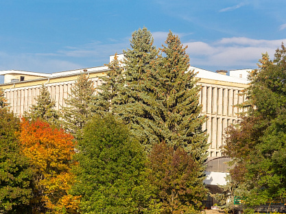 Санаторий «Пикет», Кисловодск. Территория